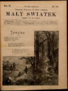 Mały Światek. R. 9, Nr 32 (1895/1896)