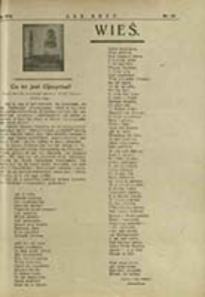 Wieś : dodatek do "Ludu Bożego". R. 17, nr 44 (1924)