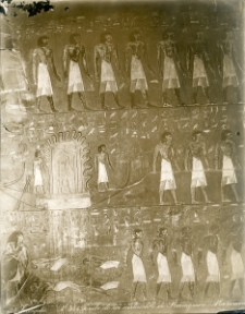 Tombe de roi cartouches de Ramessou - Meramen