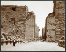 Karnak. Avenue des Sphinxs du G-d Pylone