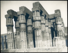 [Temple of Luxor. Hypostyle hall]