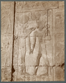 Abydos. La déesse Sekhet