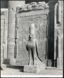 Edfou - Temple d'Horus - &Eacute;p&eacute;rvier sacr&eacute;