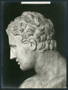 [Kopf der Statue des sitzenden Ares. 2]