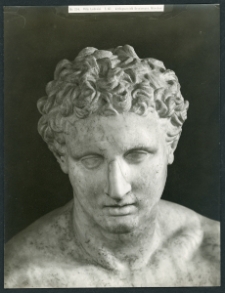 [Kopf der Statue des sitzenden Ares. 1]
