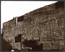 Karnak. Arbre généalogique de Ramses