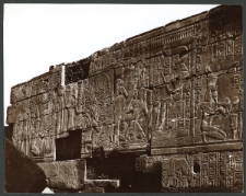Karnak. Arbre g&eacute;n&eacute;alogique de Ramses
