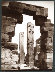 [Ruiny świątyni w Karnaku z kolumnami Totmesa III]