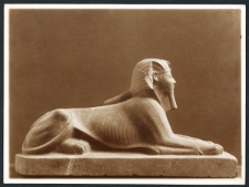 Sphinx de Thotmes III