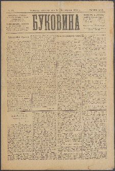 Bukovina. R. 21, č. 95 (1905)