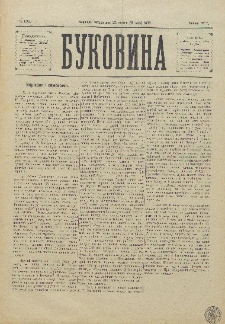 Bukovina. R. 11, č. 28 (1895).