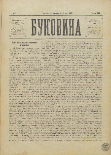 Bukovina. R. 11, č. 31 (1895).