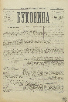 Bukovina. R. 11, č. 95 (1895).