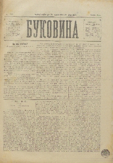Bukovina. R. 11, č. 167 (1895).