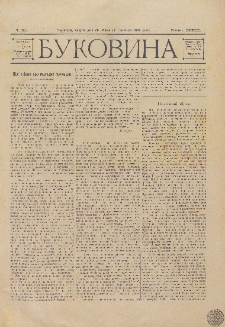 Bukovina. R. 13, č. 21 (1897)