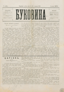 Bukovina. R. 12, č. 131 (1896)