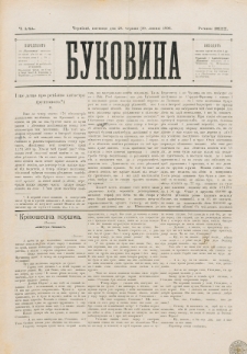 Bukovina. R. 12, č. 141 (1896)