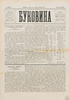 Bukovina. R. 12, č. 223 (1896)