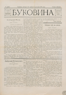 Bukovina. R. 13, č. 189 (1897)