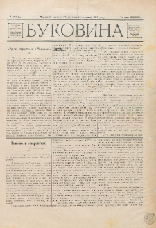 Bukovina. R. 13, č. 214 (1897)
