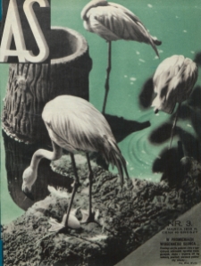 As : ilustrowany magazyn tygodniowy. R. 1, nr 3 (1935)