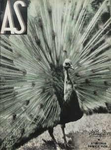 As : ilustrowany magazyn tygodniowy. R. 1, nr 15 (1935)