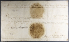 [Stanisław August Poniatowski, kr&oacute;l Polski, zezwala rotmistrzowi konnej gwardii kr&oacute;lewskiej Piotrowi Segno Equisoni na wyjazd do Saksonii w terminie do końca grudnia 1791 roku]