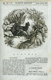Muzeum Domowe albo Czytelnia Wieczorna. 1837, nr 36/37