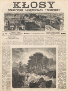 Kłosy : czasopismo illustrowane, tygodniowe. Tom 7, nr 174 (17=29 października 1868)