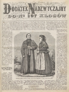 Kłosy : czasopismo illustrowane, tygodniowe. Tom 8 (1869), dodatek nadzwyczajny do numeru 197