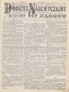 Kłosy : czasopismo illustrowane, tygodniowe. Tom 8 (1869), dodatek nadzwyczajny do numeru 207