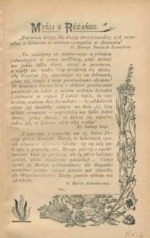 R&oacute;ża Duchowna : czasopismo miesięczne, poświęcone czci N. P. Maryi Kr&oacute;lowej R&oacute;żańca św. Rocznik 6, nr 2 (1903).